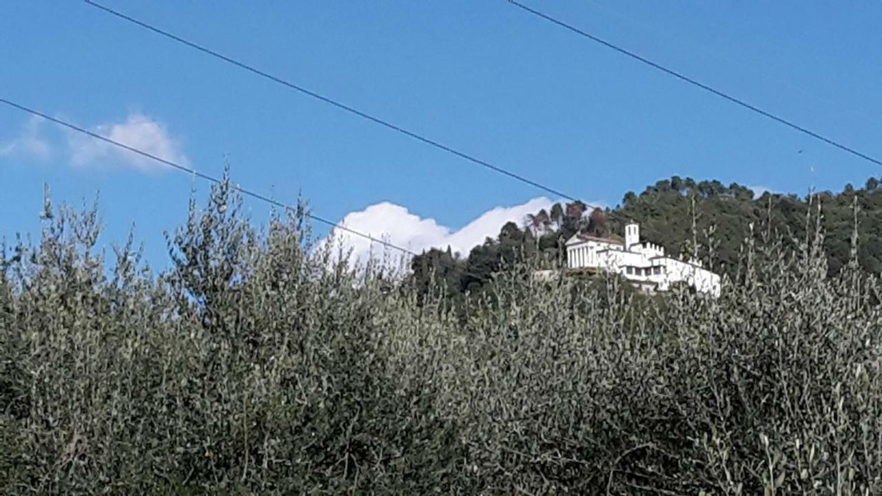 Gessy'S Otel Lucca Dış mekan fotoğraf